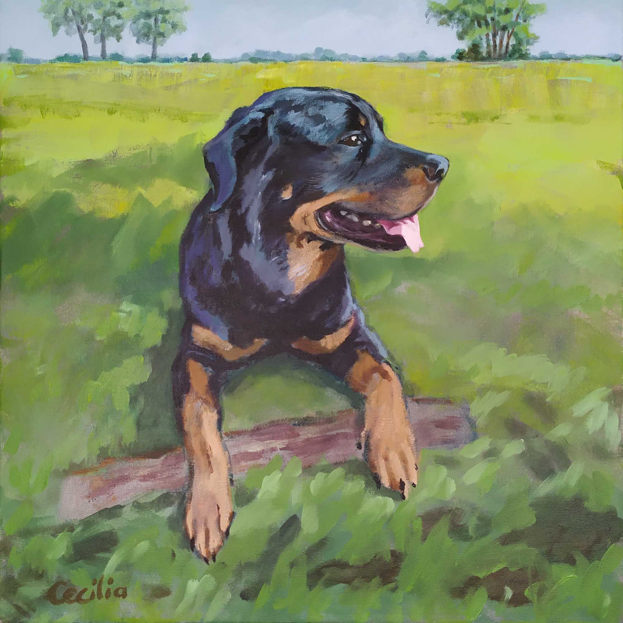 Spike, lieve vriend, ik mis je. Portret van rottweiler, 50x50 cm.
