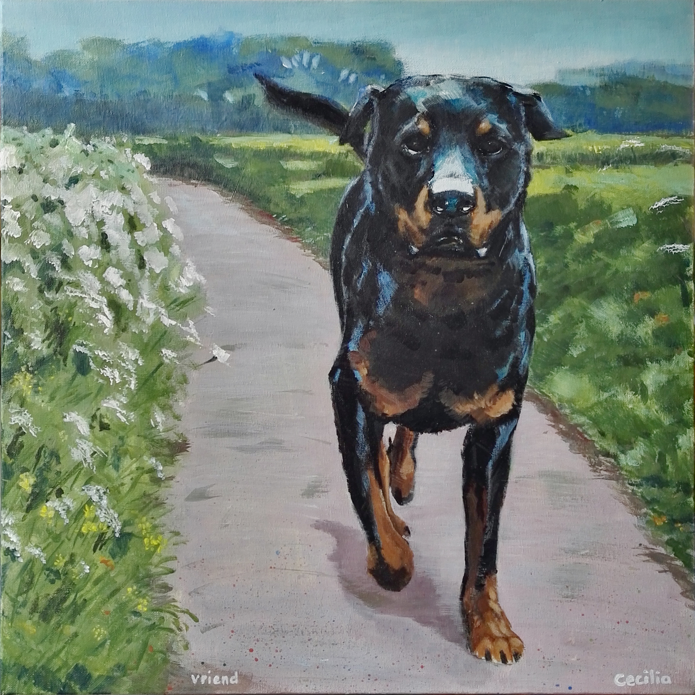 Lieve vriend. Schilderij van Spike onze Rottweiler. Doek van 50 x 50cm. Dit doek cadeau gedaan aan Jane waarvan we deze schat van een hond hebben overgenomen. Haar gemis, ons geluk.